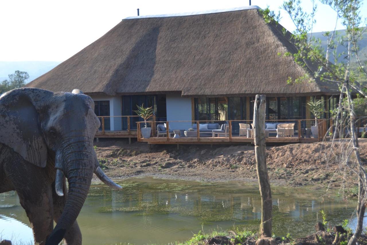 Barefoot Addo Elephant Lodge Εξωτερικό φωτογραφία